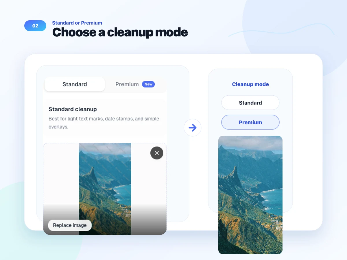 AI Watermark Remover cleanup mode selection with Standard and Premium options